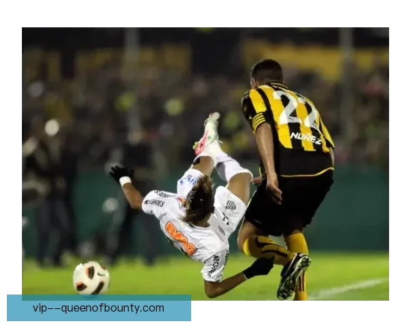 博塔弗戈历史性首夺南美解放者杯冠军书写辉煌篇章